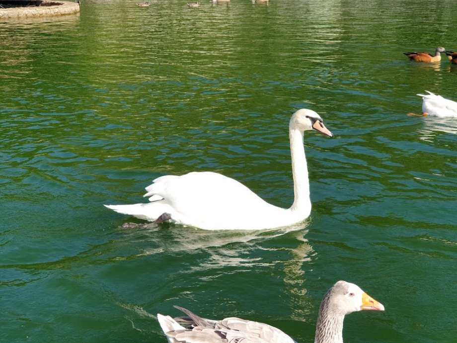 Parque da Canuda - Foto 11