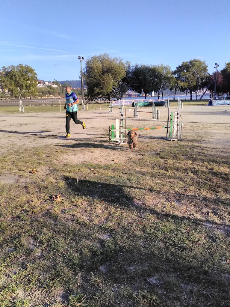 Parque Infantil Moaña - Foto 7