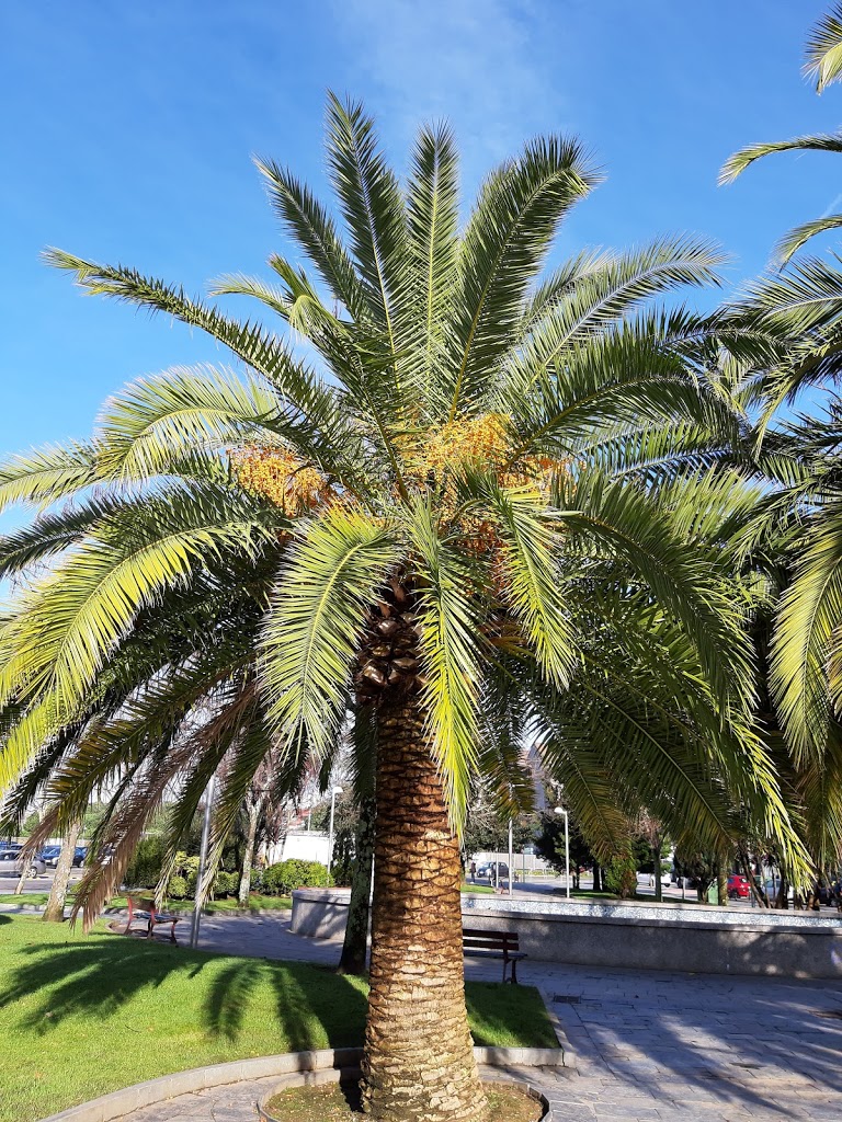 Parque Miguel Hernández - Foto 1