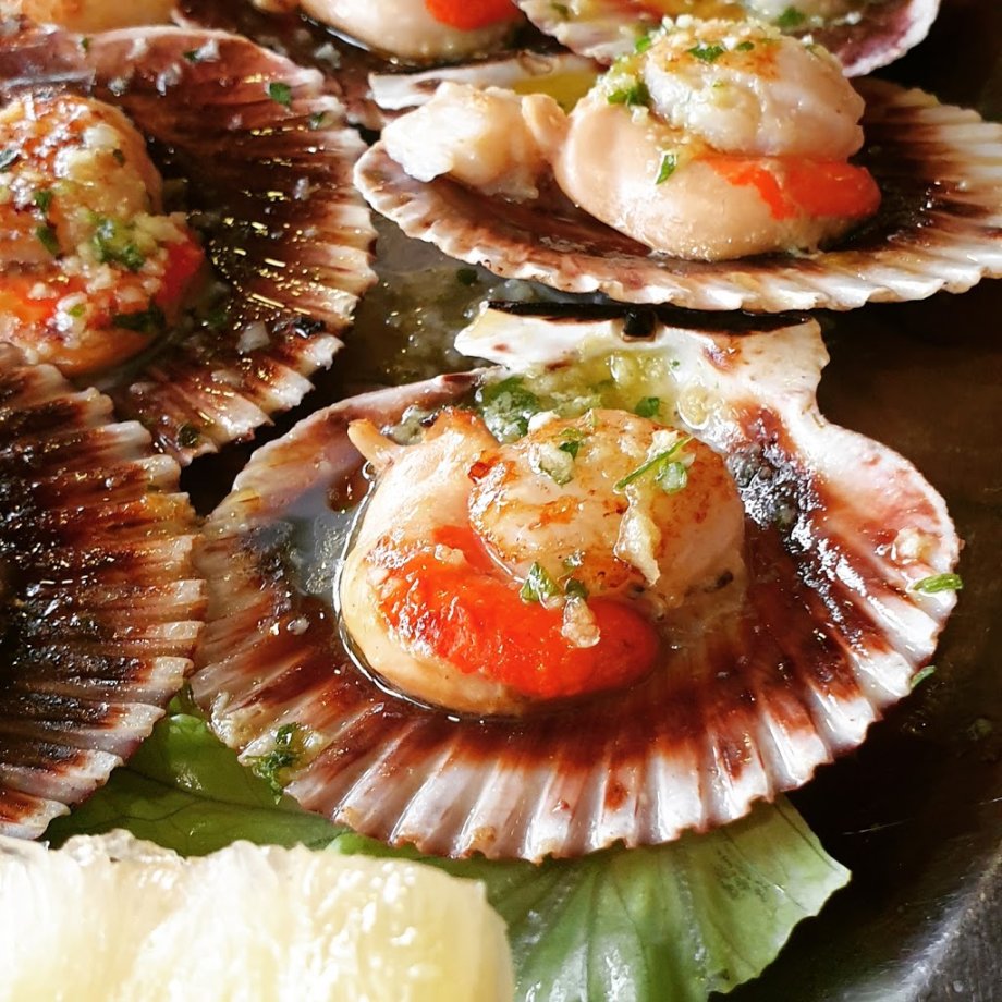 O Noso Eido - Foto 11