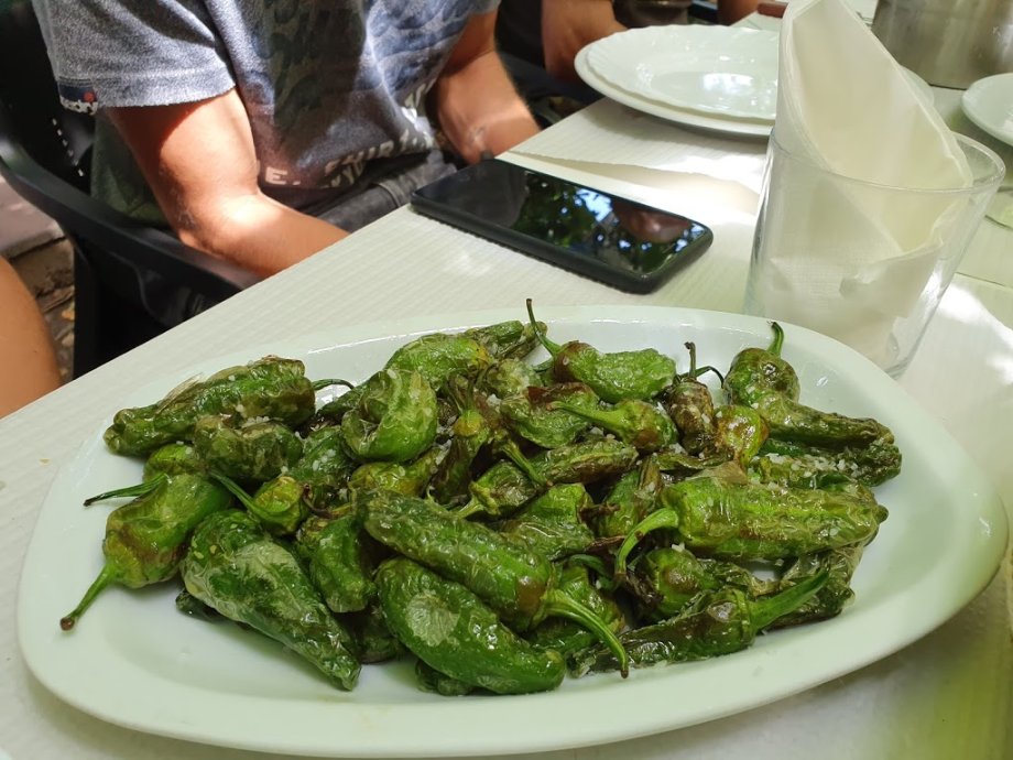 O Noso Eido - Foto 19