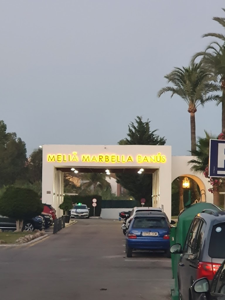 Meliá Marbella Banús - Foto 21
