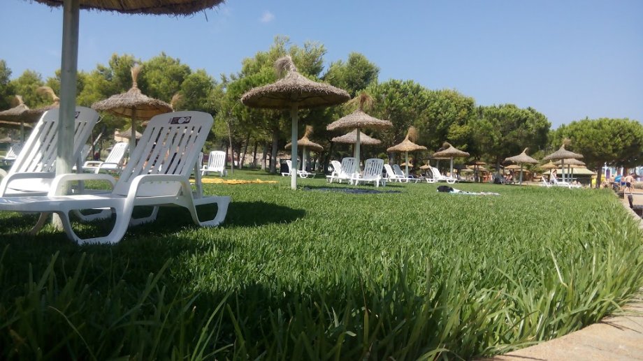 Western Park - Foto 4