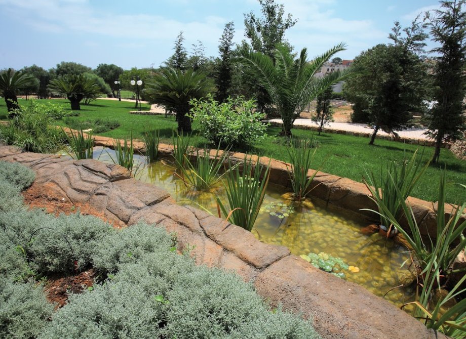 Occidental Menorca - Foto 8