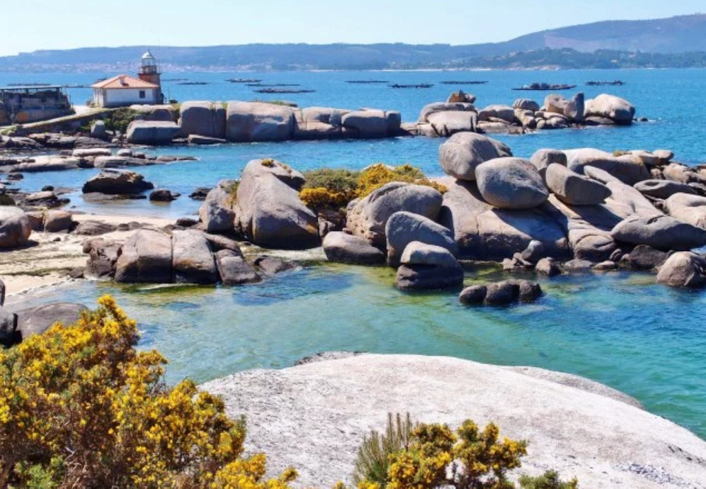 Aquarium Finisterrae 23