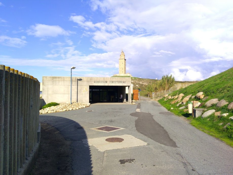 Aquarium Finisterrae - Foto 5