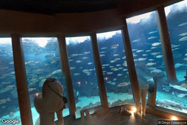 Aquarium Finisterrae - Foto 7