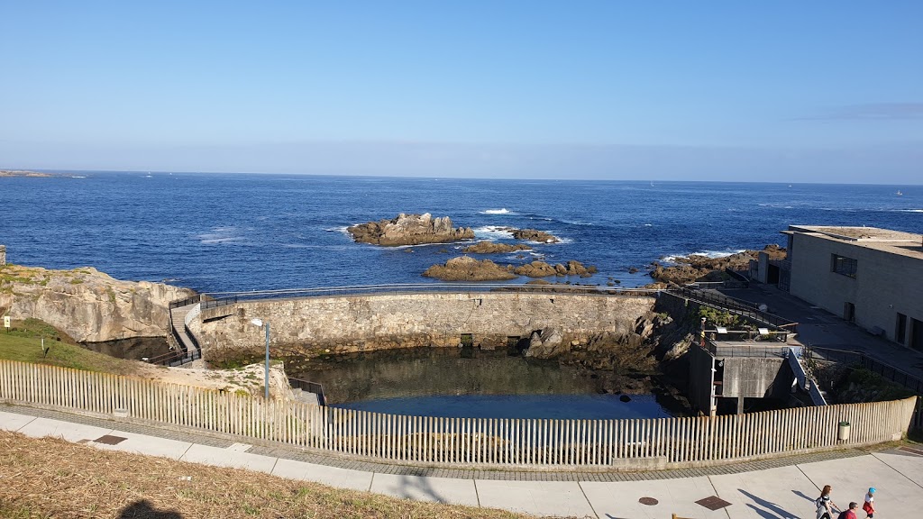 Aquarium Finisterrae 13