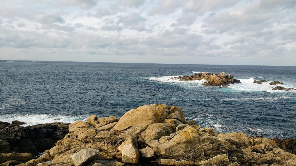 Aquarium Finisterrae 15