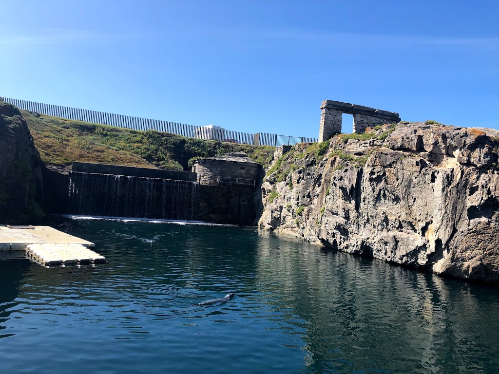 Aquarium Finisterrae 17