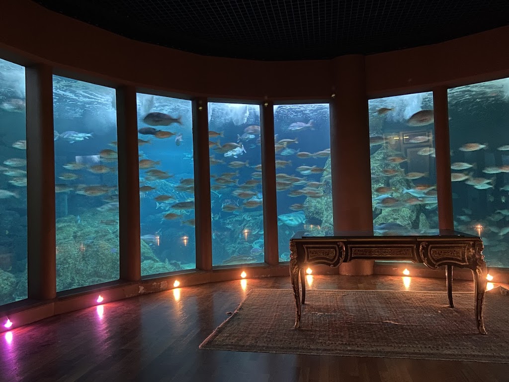 Aquarium Finisterrae 2