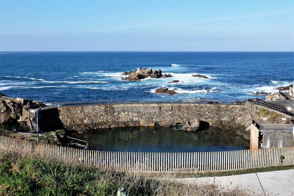 Aquarium Finisterrae - Foto 1