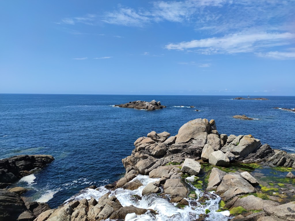 Aquarium Finisterrae - Foto 1