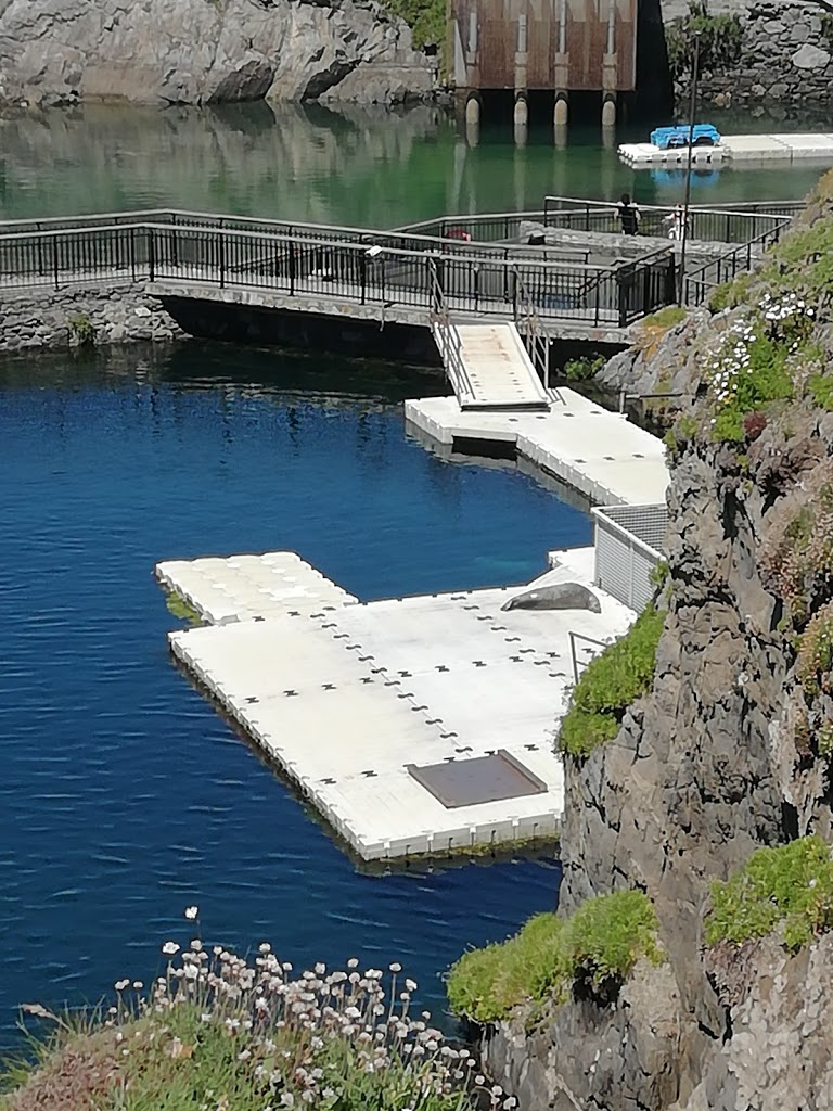 Aquarium Finisterrae - Foto 1