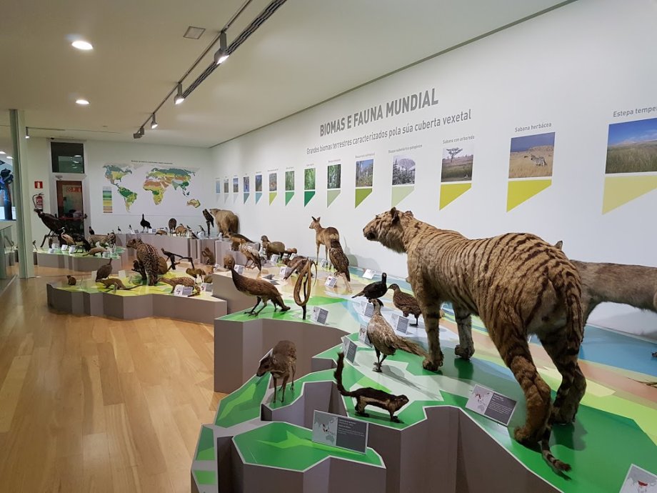 USC: Museo de Historia Natural - Foto 3