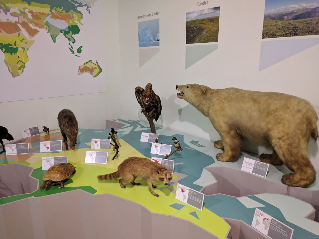 USC: Museo de Historia Natural - Foto 1