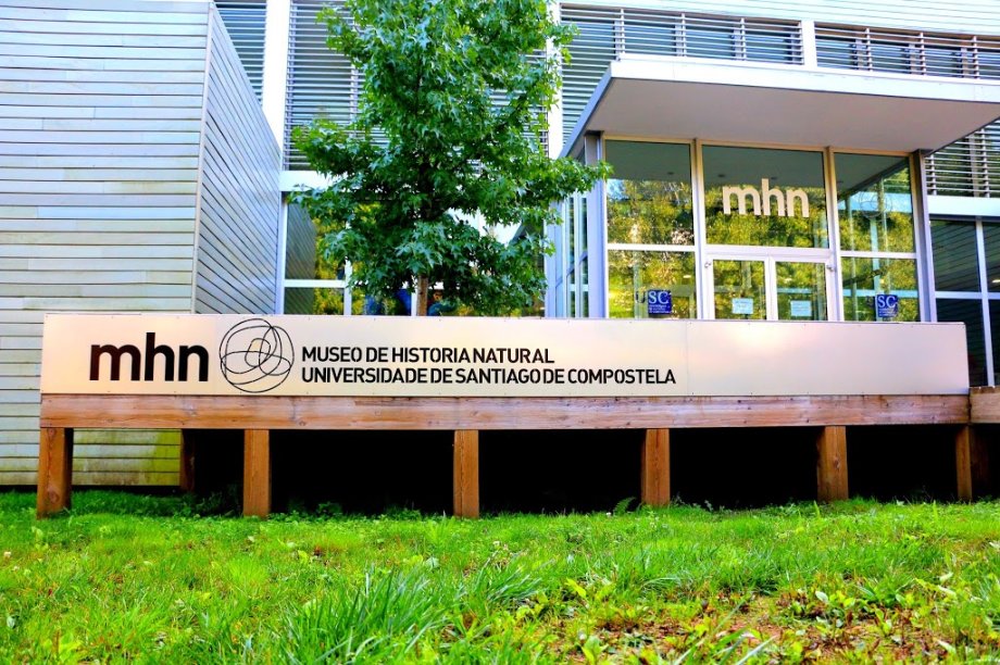 USC: Museo de Historia Natural - Foto 10