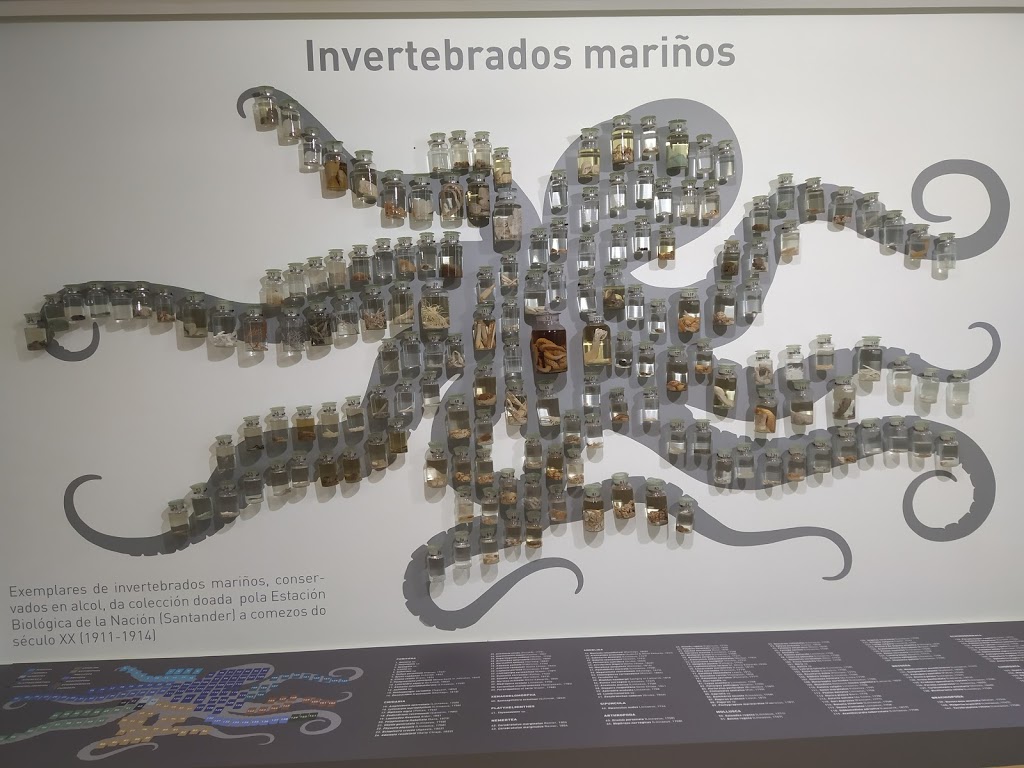 USC: Museo de Historia Natural - Foto 1