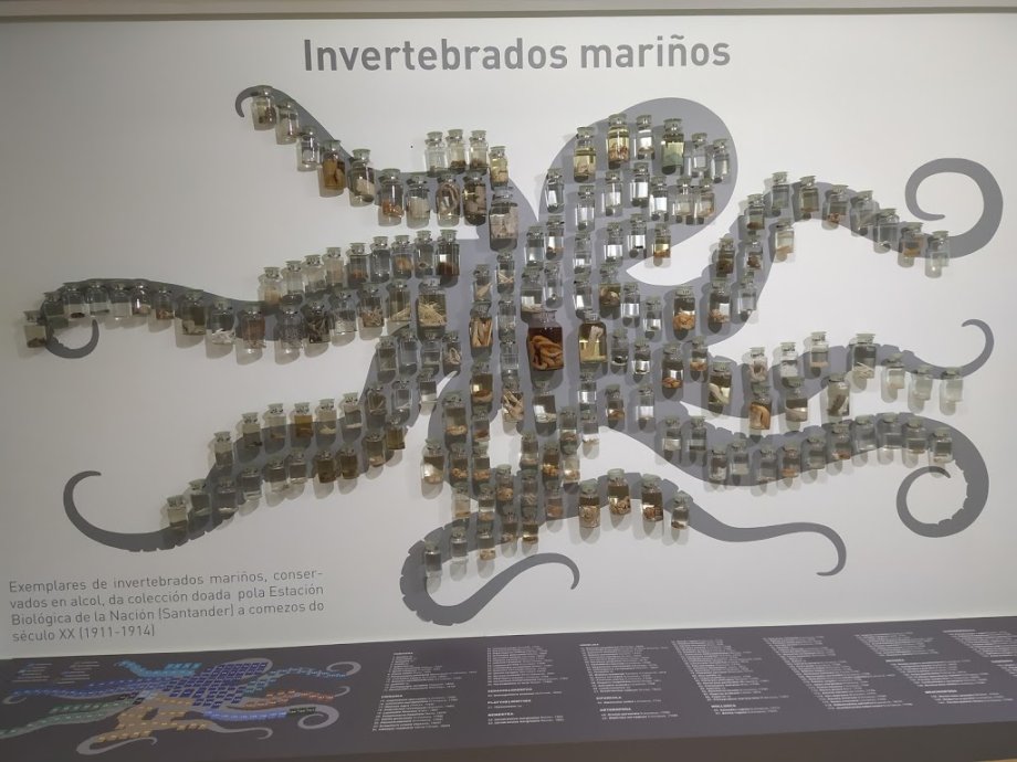 USC: Museo de Historia Natural - Foto 14