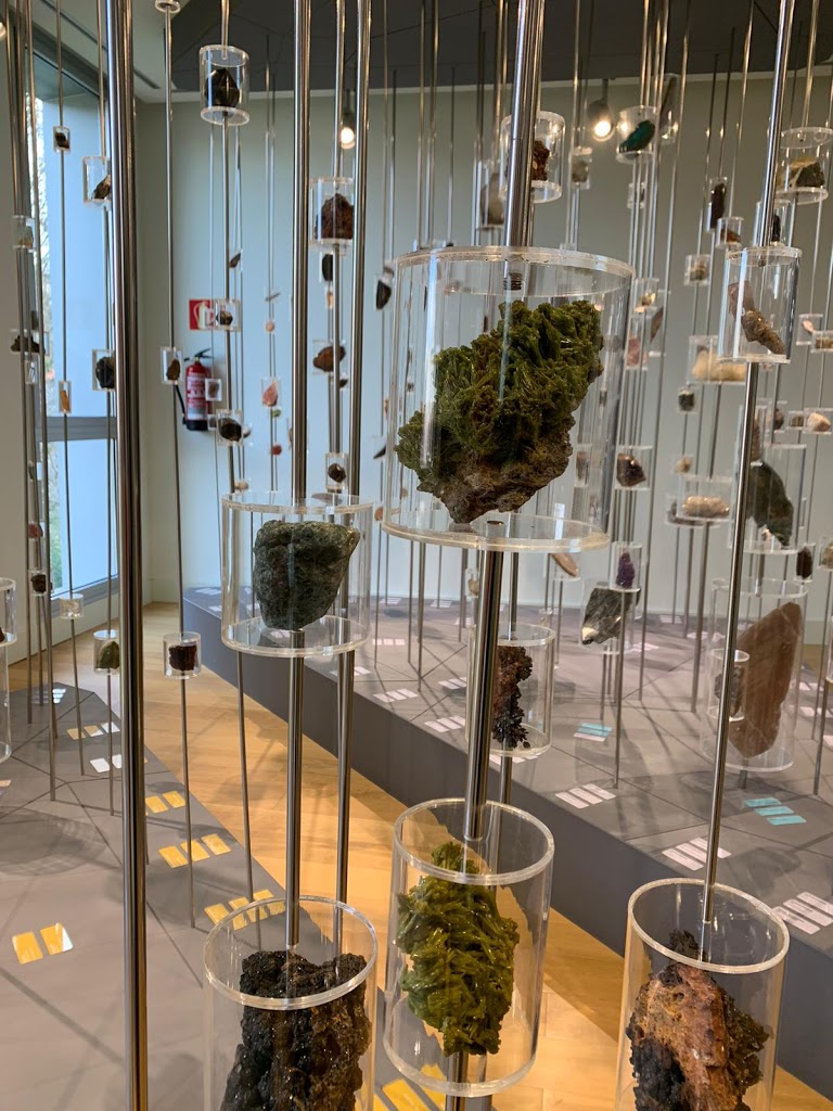 USC: Museo de Historia Natural - Foto 1