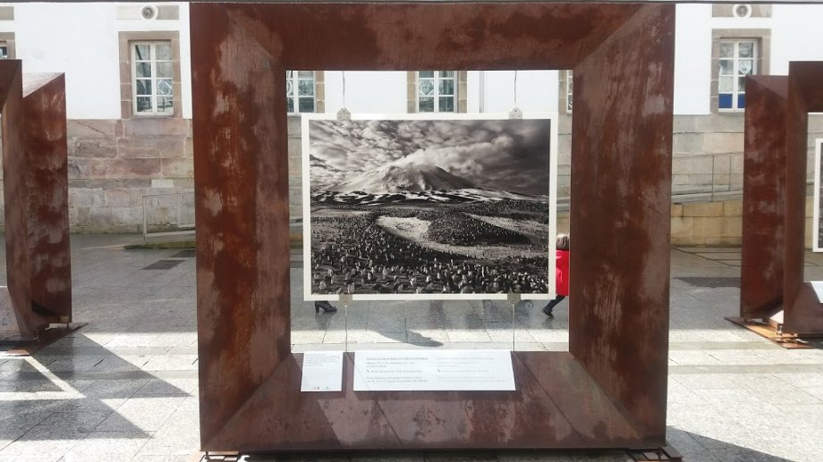 MARCO (Museo de Arte Contemporánea) - Foto 4