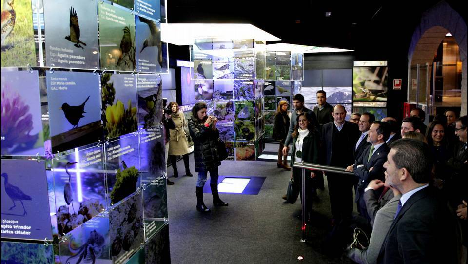 Parque Nacional Illas Atlánticas de Galicia - Foto 1