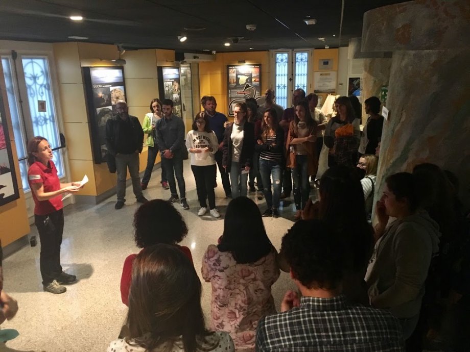 Parque Nacional Illas Atlánticas de Galicia - Foto 4