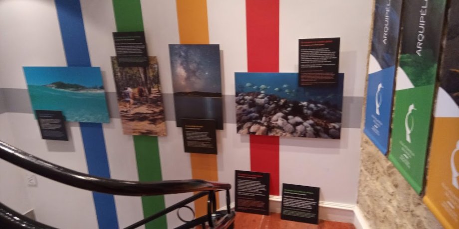 Parque Nacional Illas Atlánticas de Galicia - Foto 6