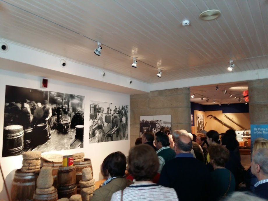 Museo Massó - Foto 3