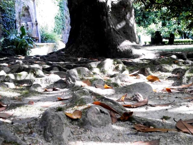 Museo Quiñones de León (Pazo de Castrelos) - Foto 1