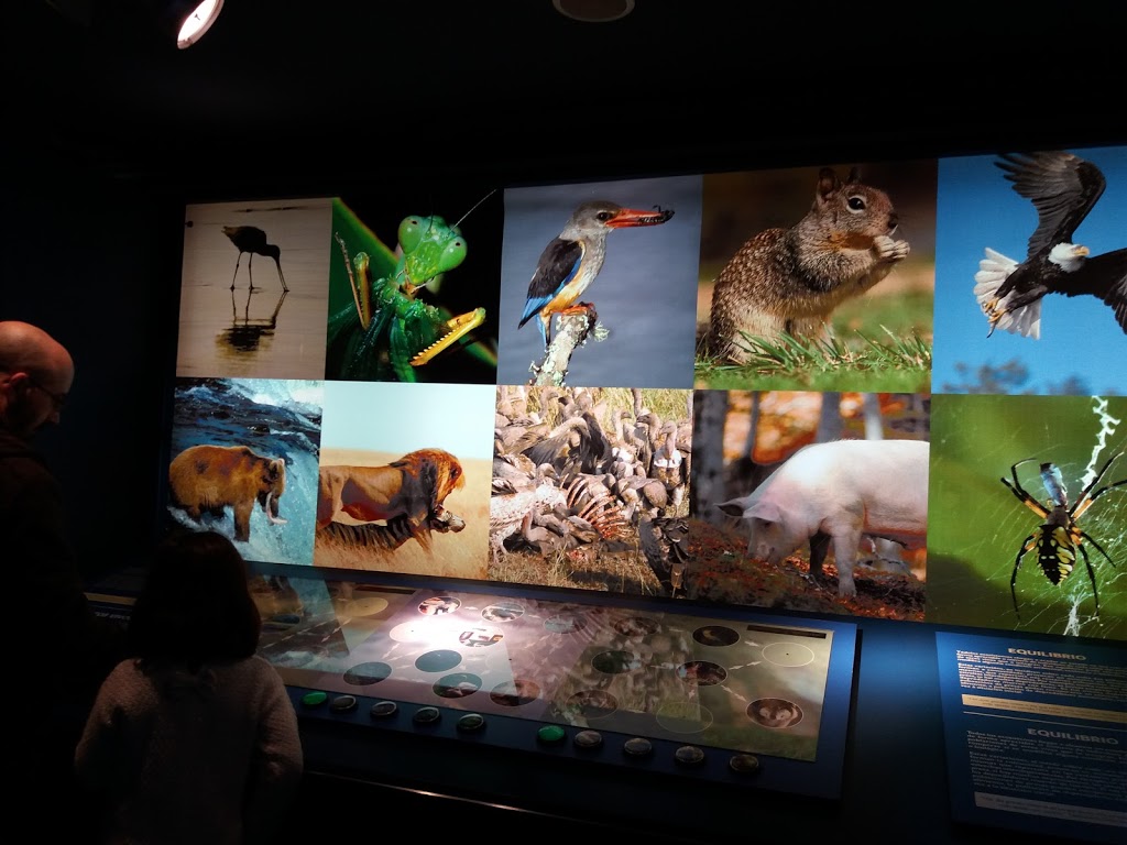 Naturnova | Centro Interactivo de Educación Ambiental 1