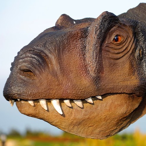 Museo del Jurásico de Asturias - Foto 1