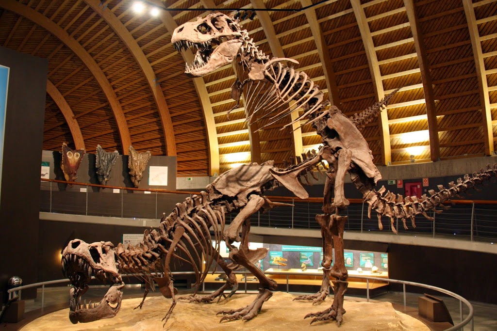 Museo del Jurásico de Asturias 15