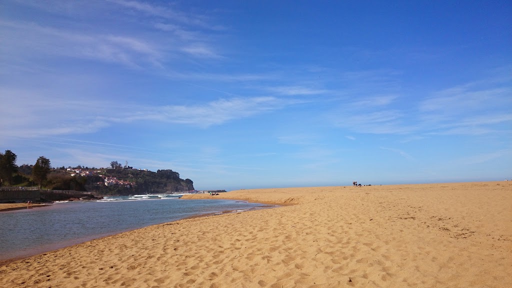 Museo del Jurásico de Asturias 17