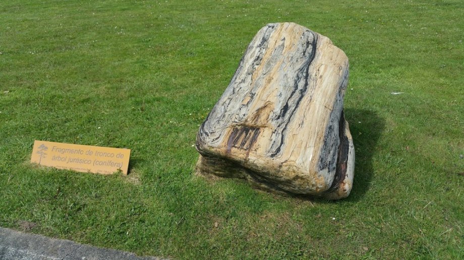 Museo del Jurásico de Asturias - Foto 1