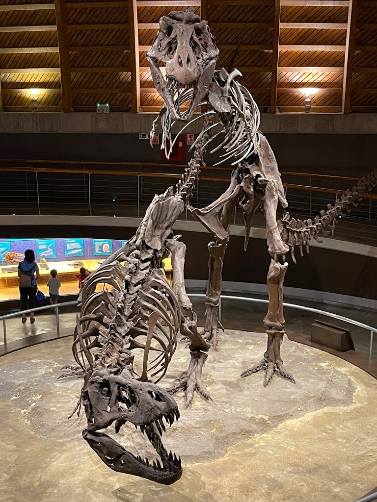Museo del Jurásico de Asturias 4
