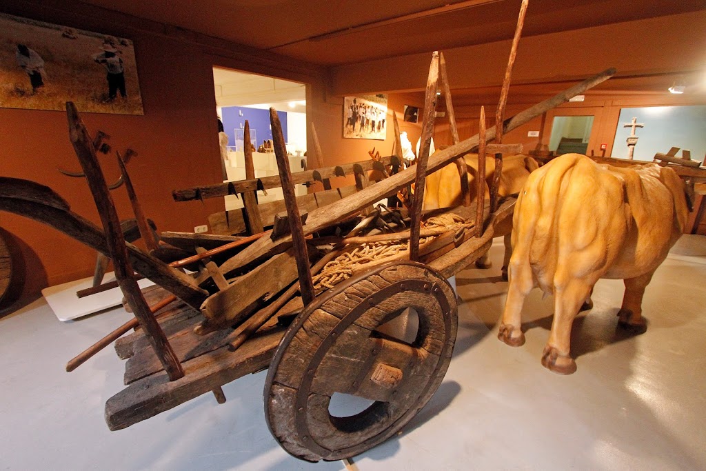 Museo Liste - Foto 1