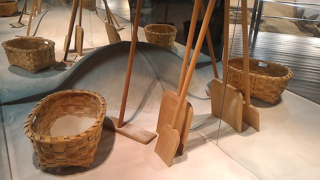 Salinae - Centro Arqueolóxico do Areal - Foto 1