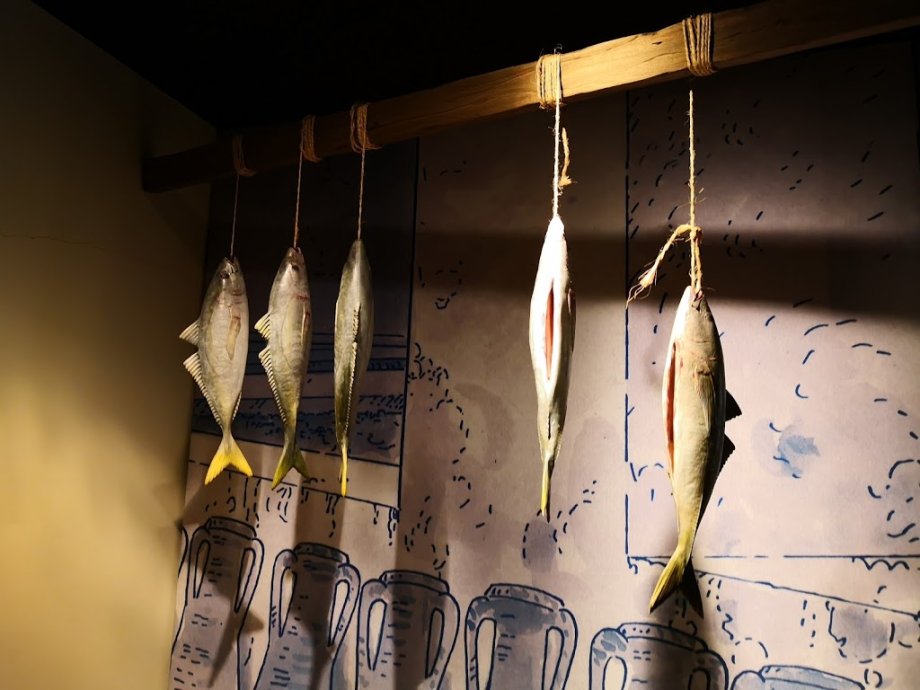 Salinae - Centro Arqueolóxico do Areal - Foto 12