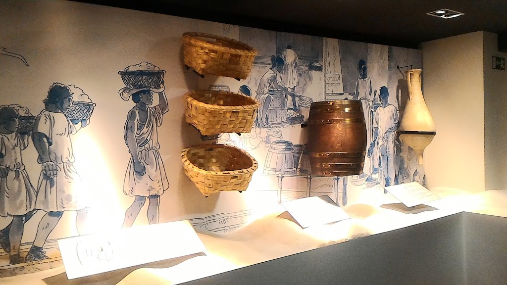 Salinae - Centro Arqueolóxico do Areal - Foto 1