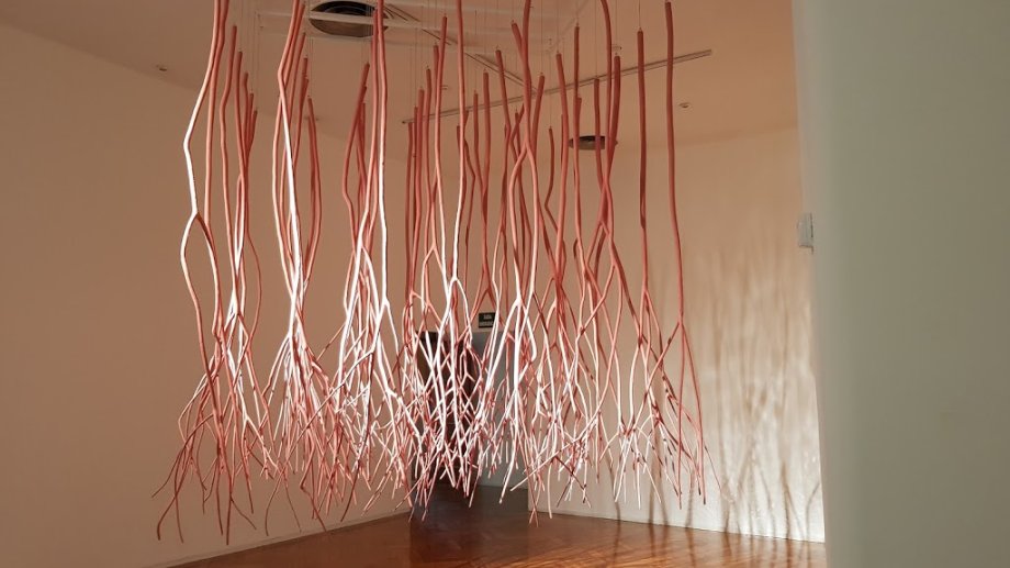 Casa das Artes - Foto 8