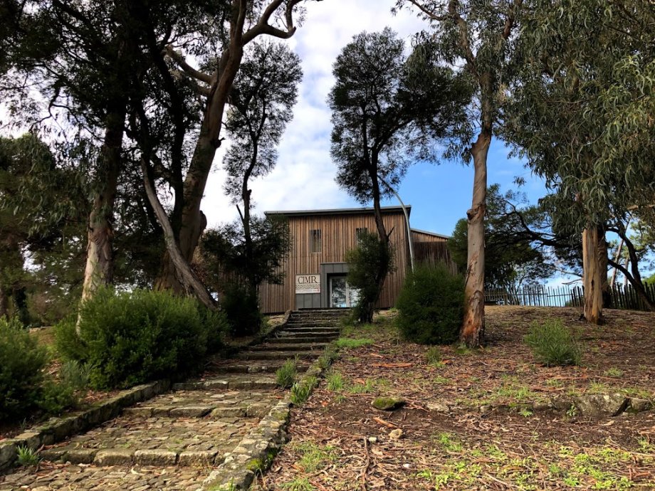 Centro Arqueolóxico da Vila Romana de Toralla - Foto 10