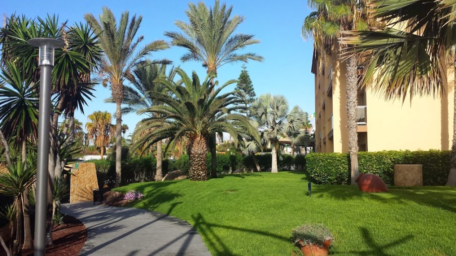 Barceló Fuerteventura Thalasso Spa - Foto 11