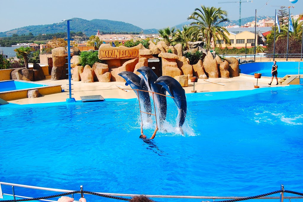 Water World - Foto 1