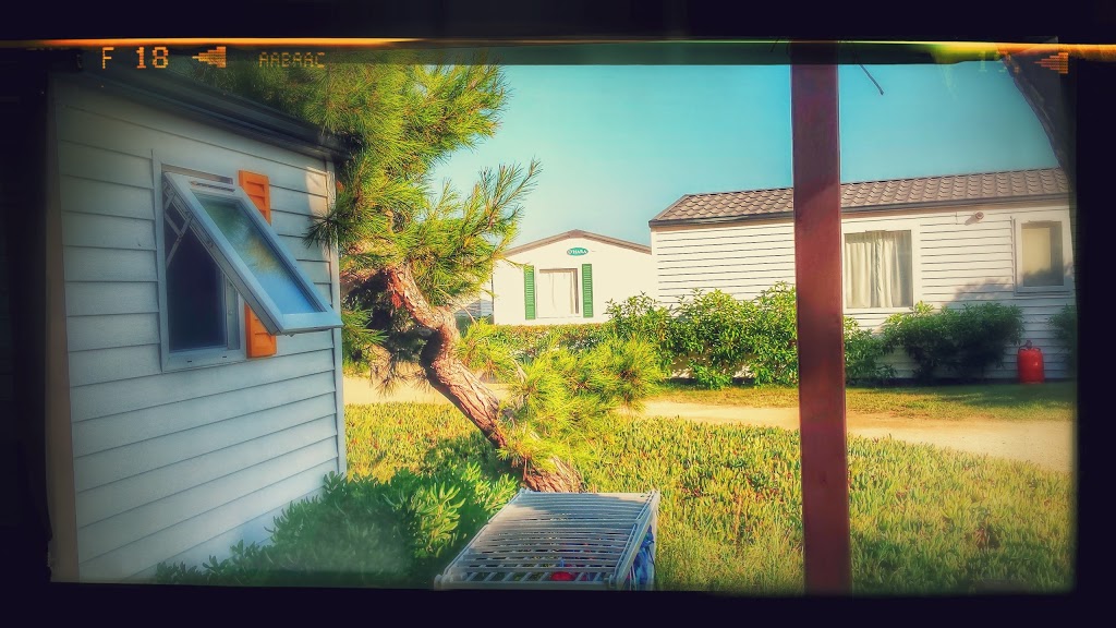 Las Palmeras Camping & Bungalow Tarragona - Foto 1