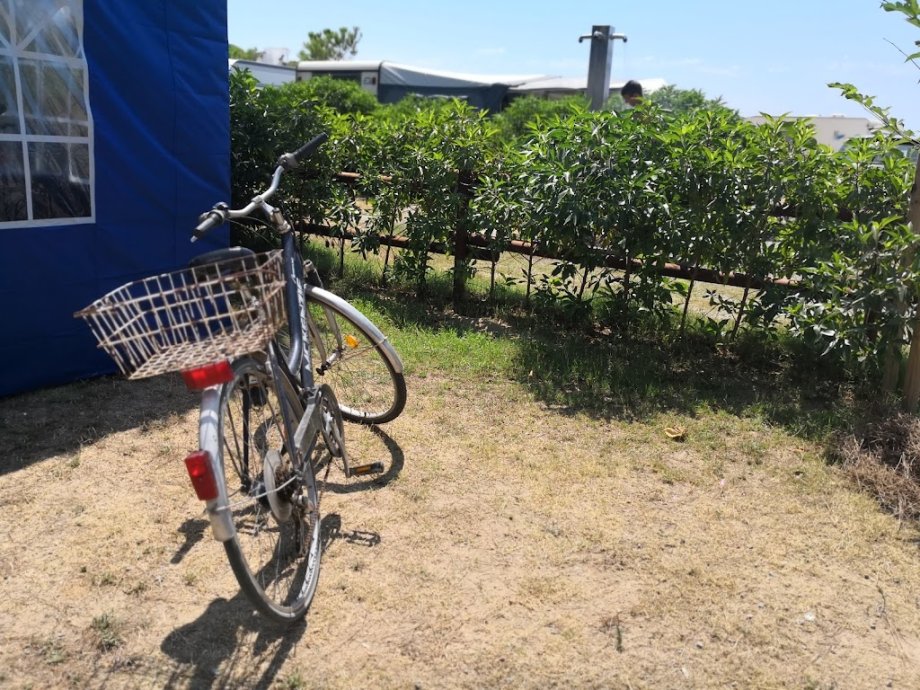 Las Palmeras Camping & Bungalow Tarragona - Foto 21