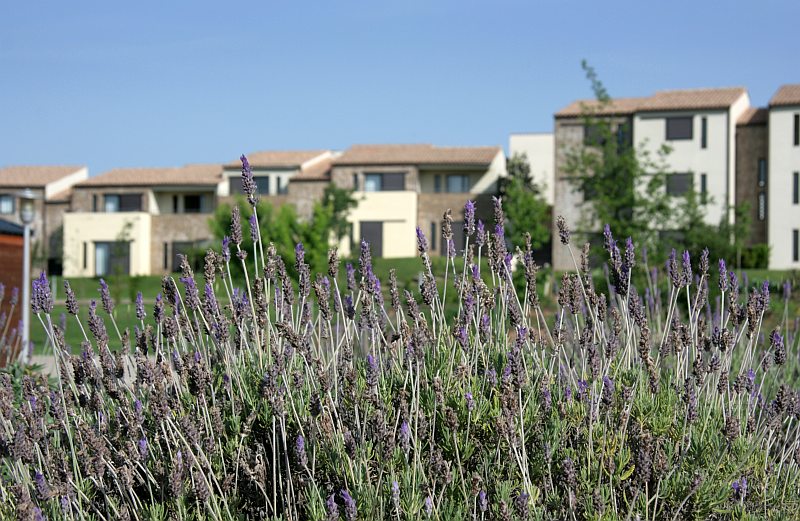 Vilar Rural de Cardona 17