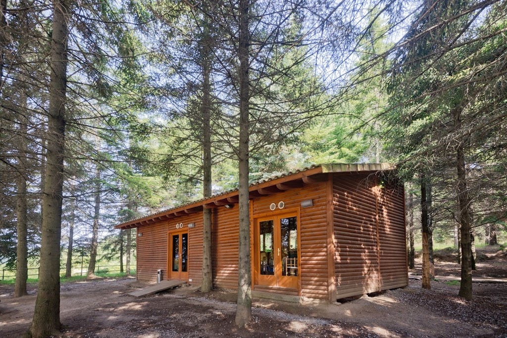 Vilar Rural de Sant Hilari Sacalm - Foto 1