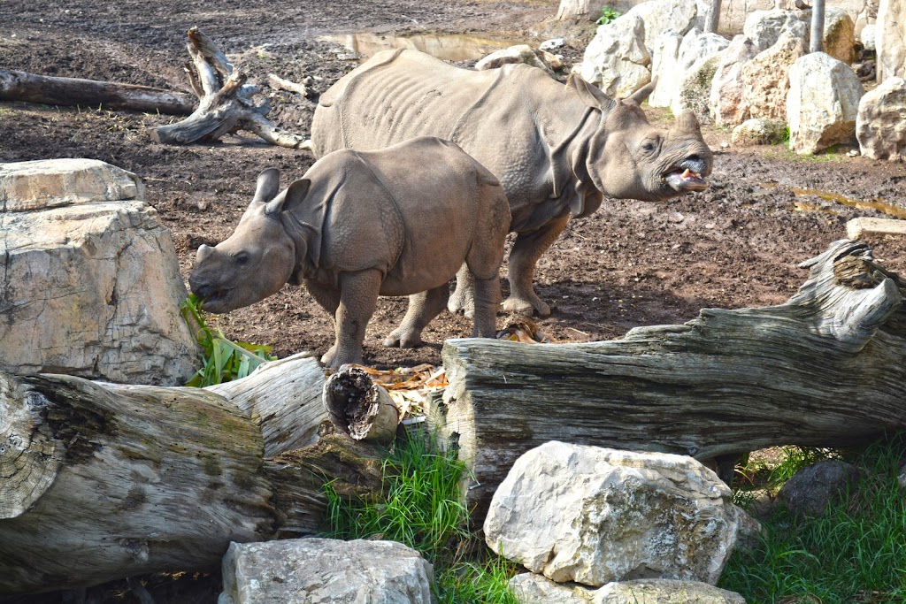 Terra Natura Benidorm 1