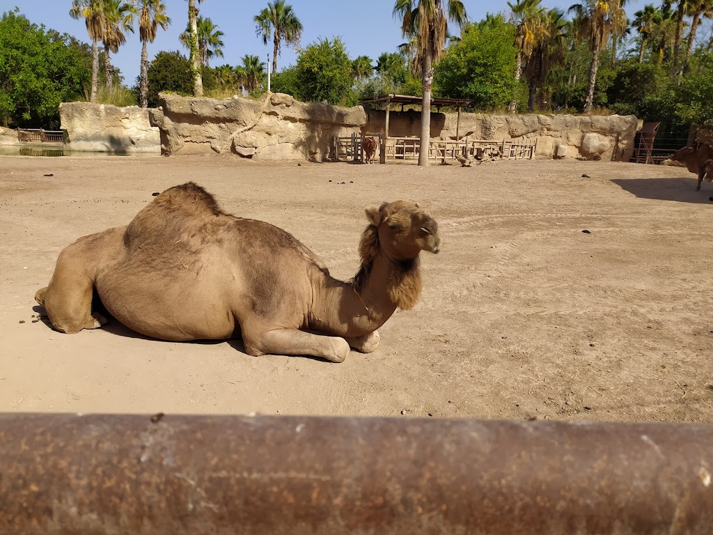 Terra Natura Benidorm - Foto 1